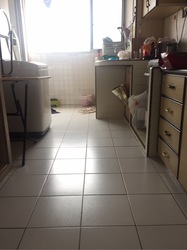 Blk 662 Yishun Avenue 4 (Yishun), HDB 4 Rooms #214601211